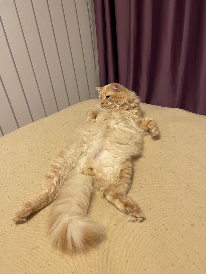 ,   ! ,  ,  