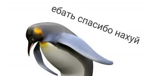    , ,  ,  