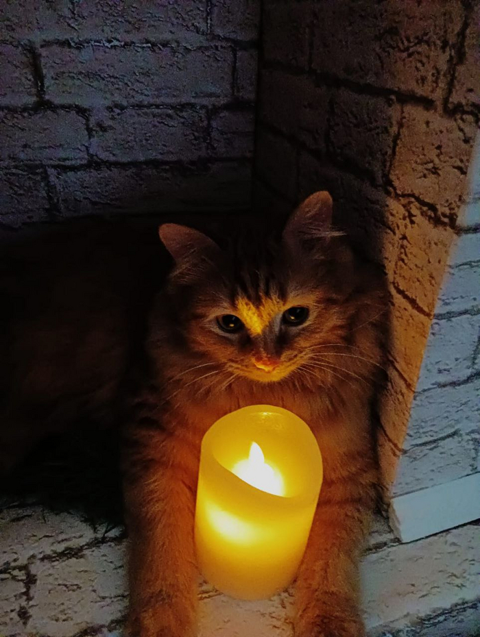     , , 