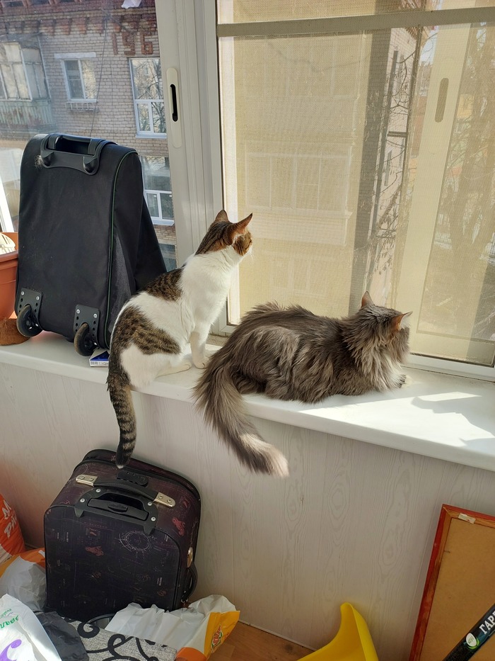 ��, � ���� �����