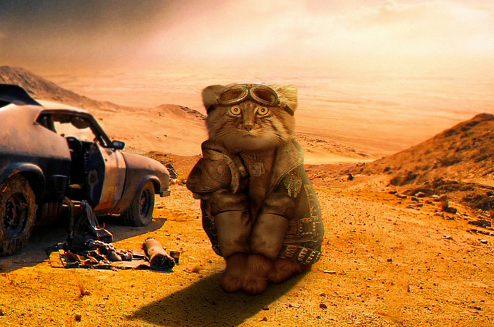 Безумный манул