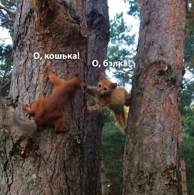  1 , ,   , , 
