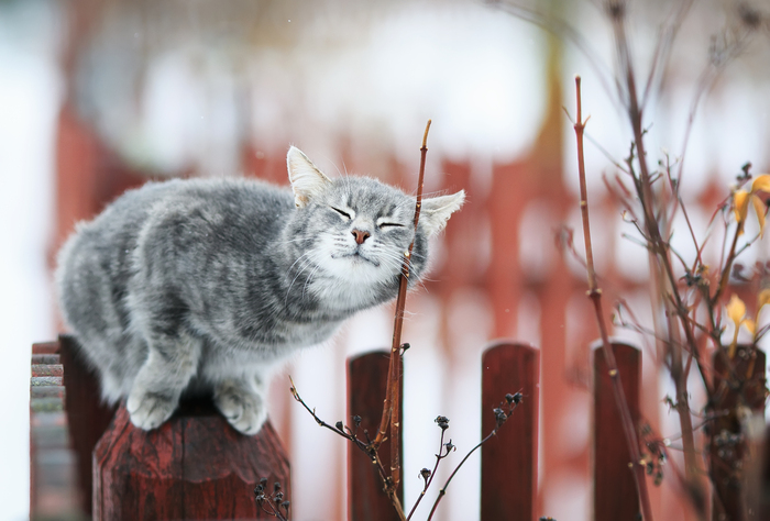 Весной пахнет