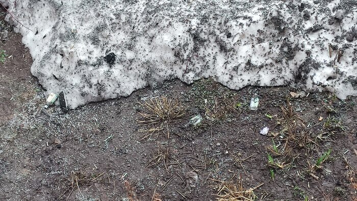 ����� �� ���� �������. ������. ��������