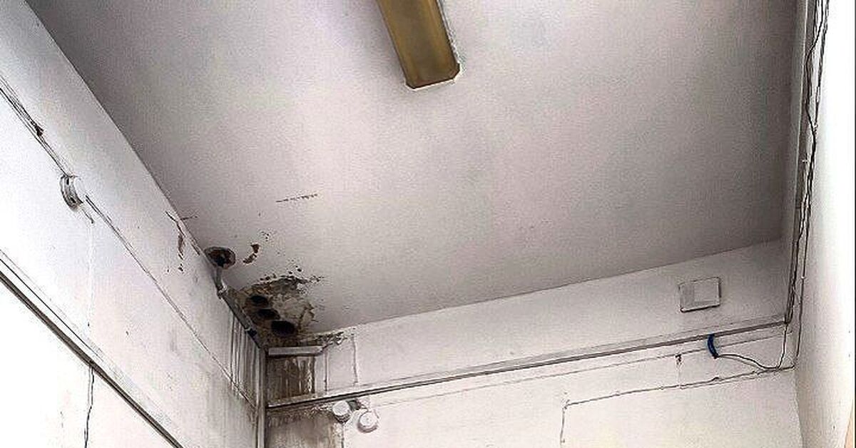 Психиатрическая больница № 1 им. Кащенко, Санкт-Петербург | Пикабу