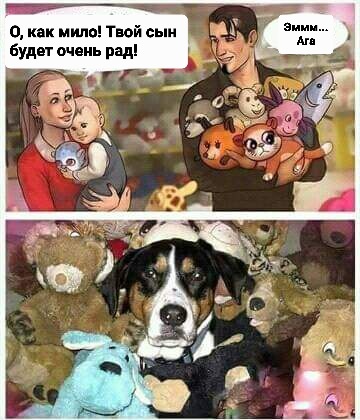  -    ,   ,  , 