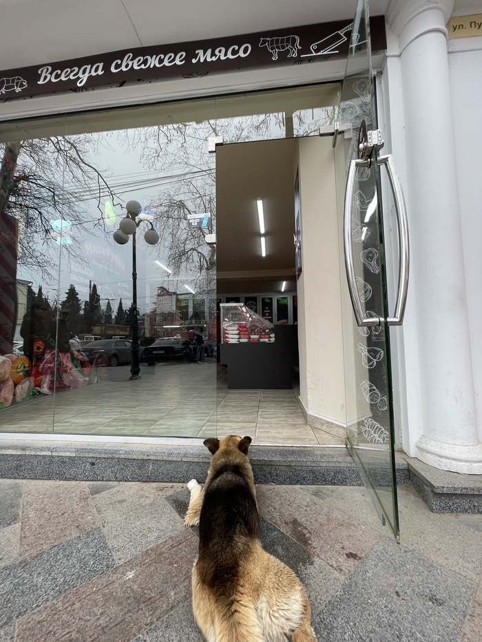 ������ �������