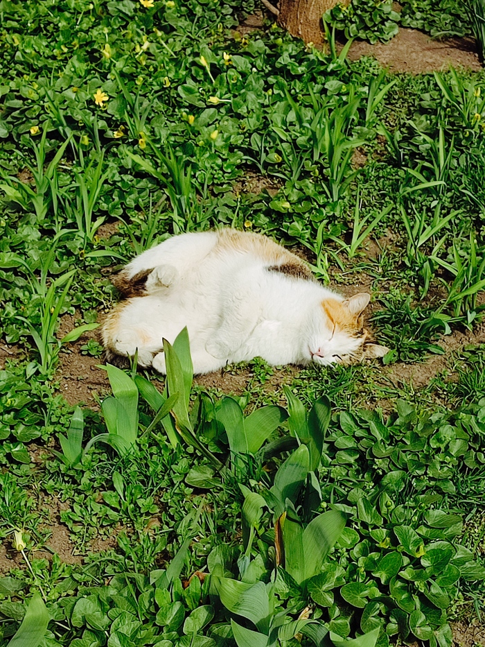 25 ����� - ������������� ���� ��������������