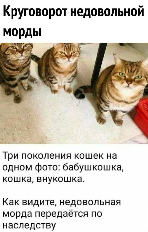 Круговорот | Пикабу