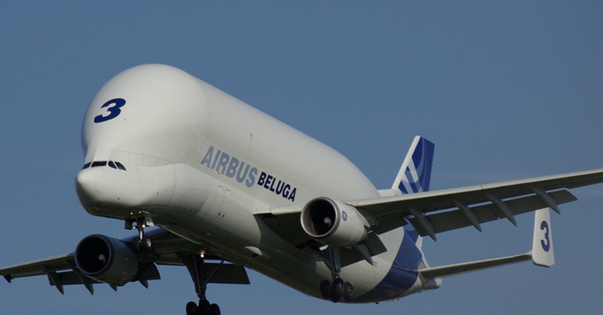 He planes. А300-600st Белуга. Самолёт Аэробус Белуга. Airbus Beluga грузовые самолёты. Airbus a300 Beluga.