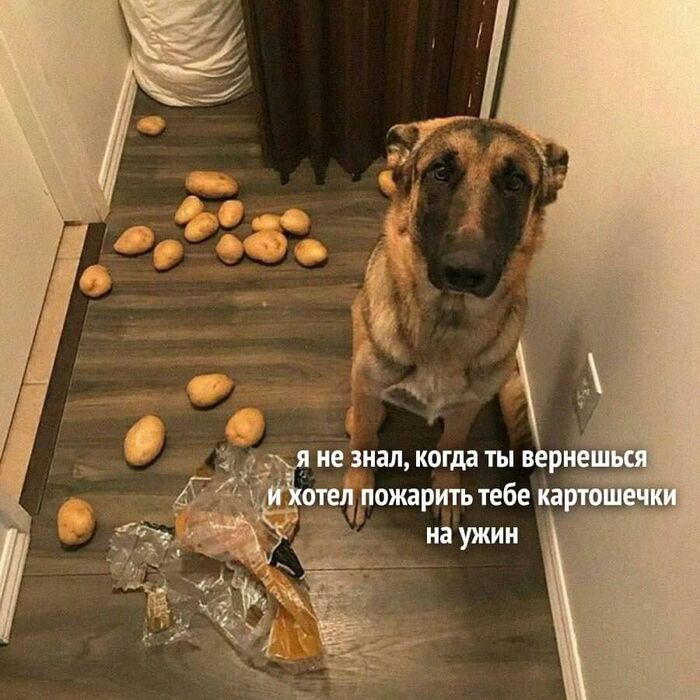    ,   , , , 