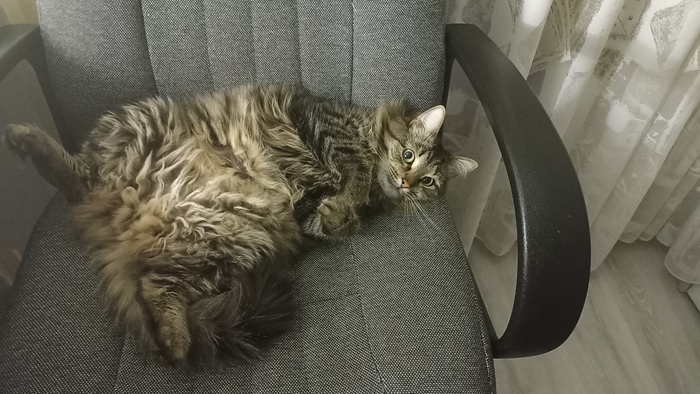 �� ����� �����, ��������� �� ��������((