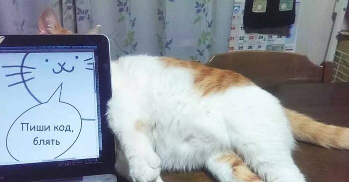   ,   , , , IT, , , 