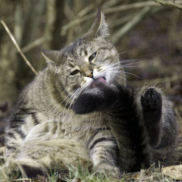 И пусть весь мир подождёт