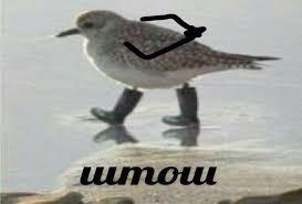      , ,  , ,   