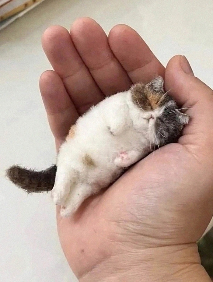    !     , , , ,  , ,  , 