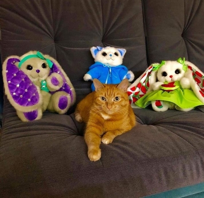 ����� ��������, ���������� ���� �������)))