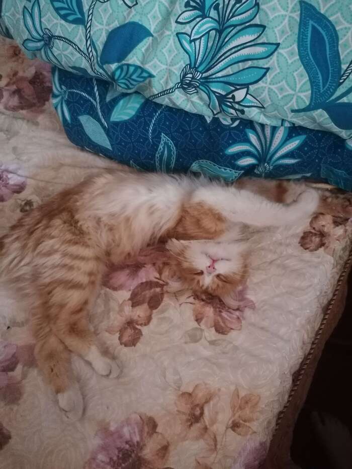  , , 