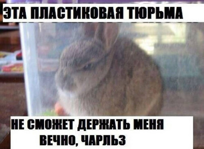 ����������� ������