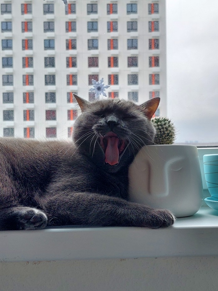 Удобно? Удобно!