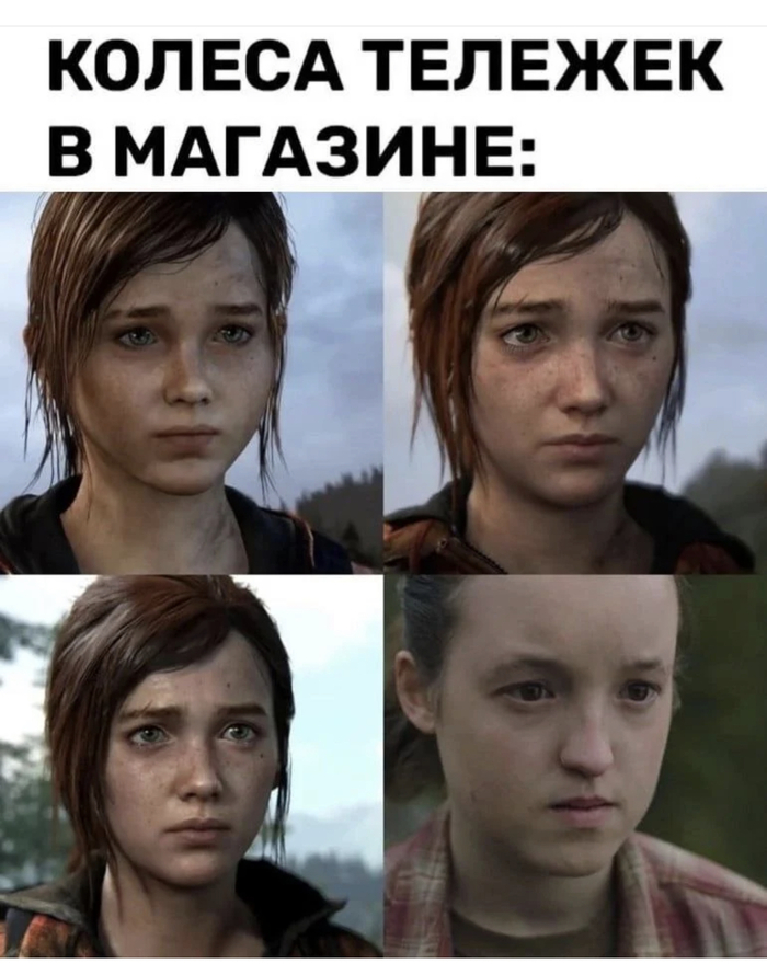 ��� ��������