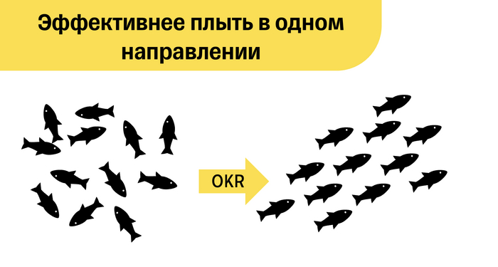  OKR,   ?      12  , , IT,  , ,   