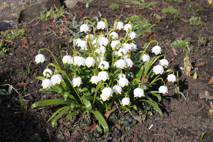 На тёплом месте