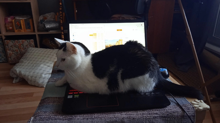 Я запрещаю тебе работать, человек