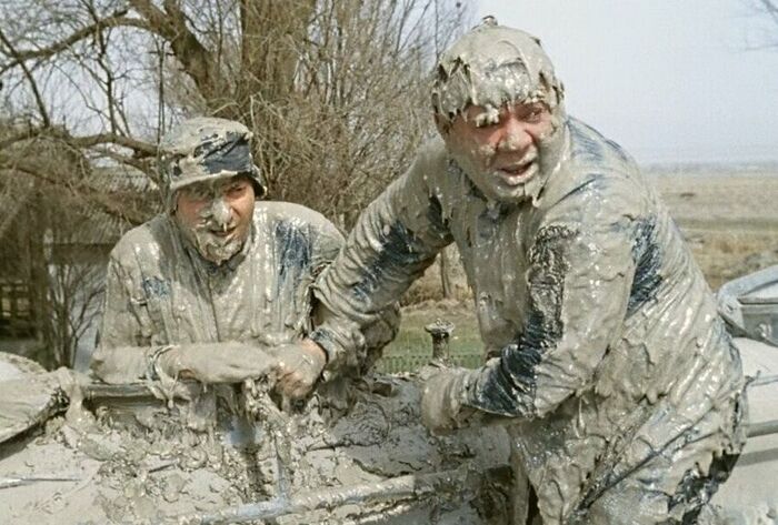 Proporce Pro S drov Odl v n Pikabu