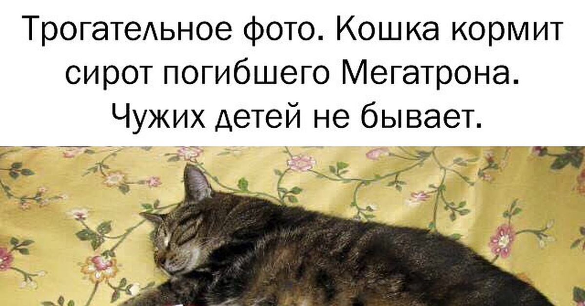 Чужих детей не бывает картинки