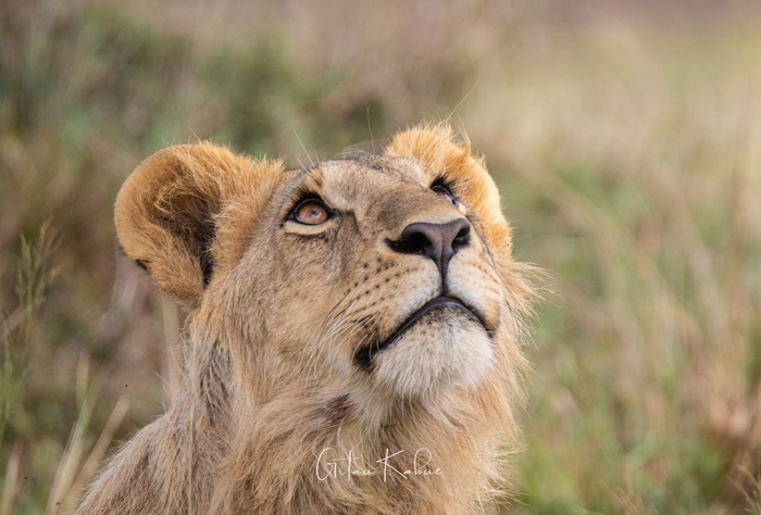 Что-то интересное увидал