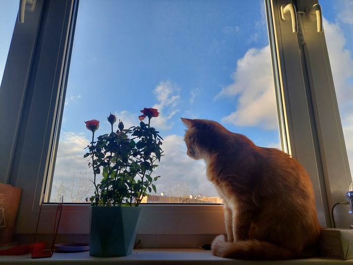 ����� �� ������