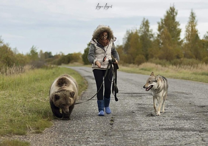 На прогулке