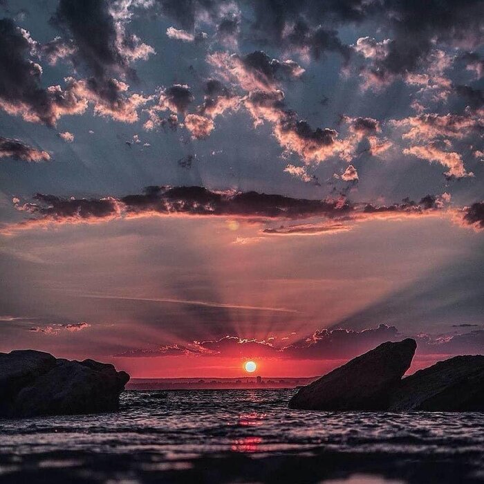 ������������� �����