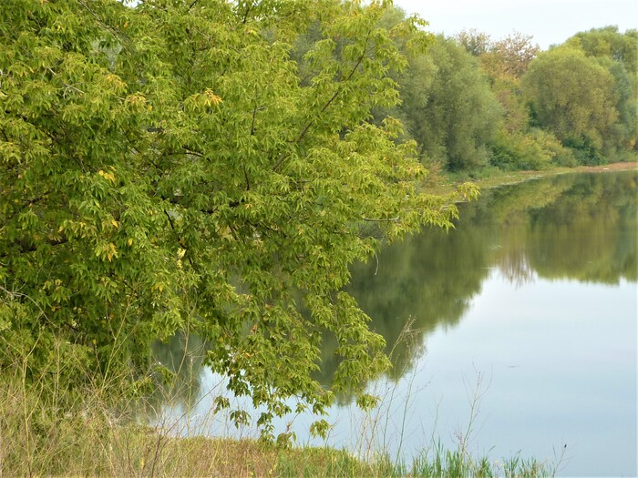 ������ � ����� � ���������