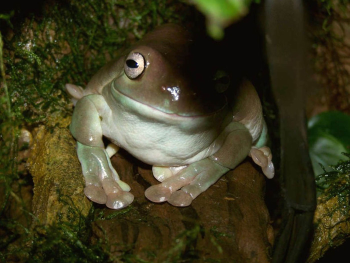 ���������� ������