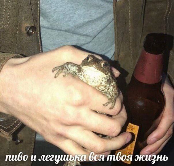 �����, ��� ������