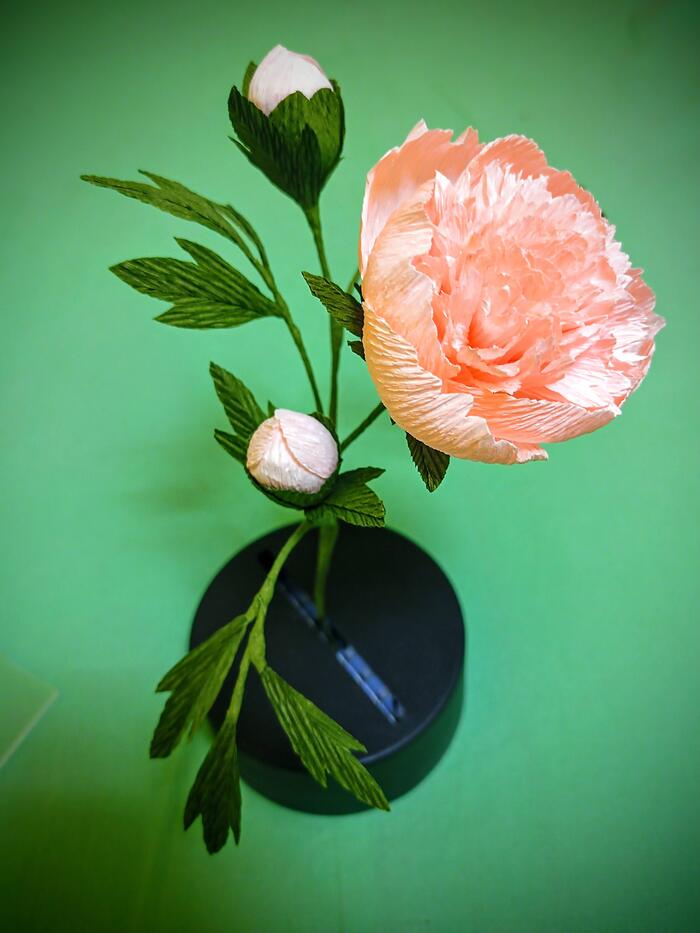 Пара часов и новый пион