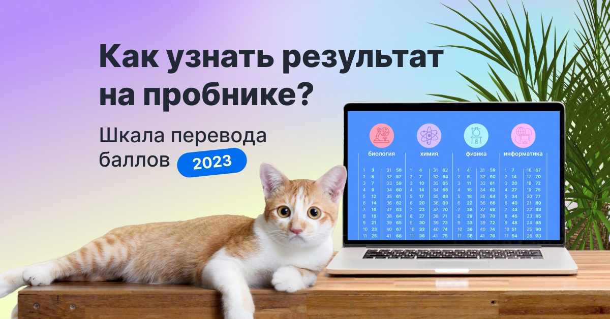 Тестирование 2023