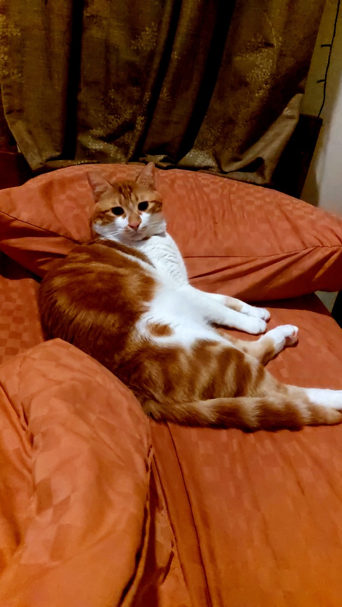 -"  !" ,  , 