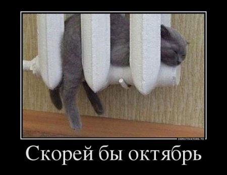 Анекдоты в картинках | Пикабу