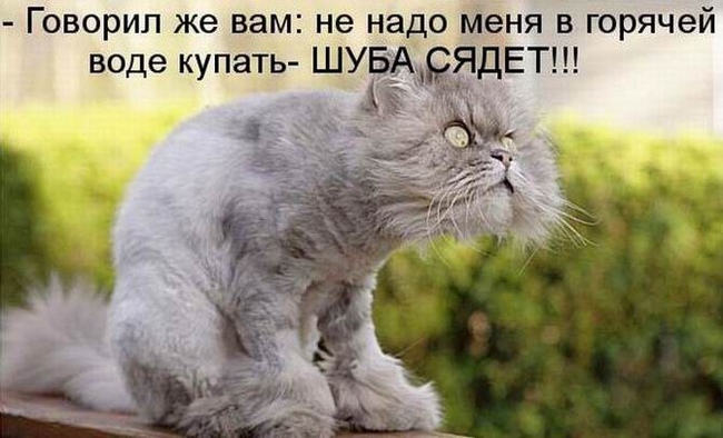 Анекдоты в картинках | Пикабу