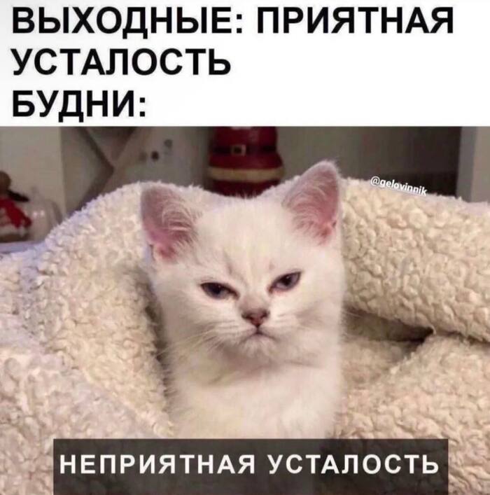 Круговорот усталости