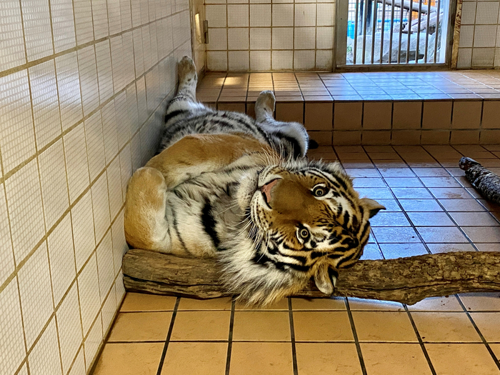 Ложись рядышком :3