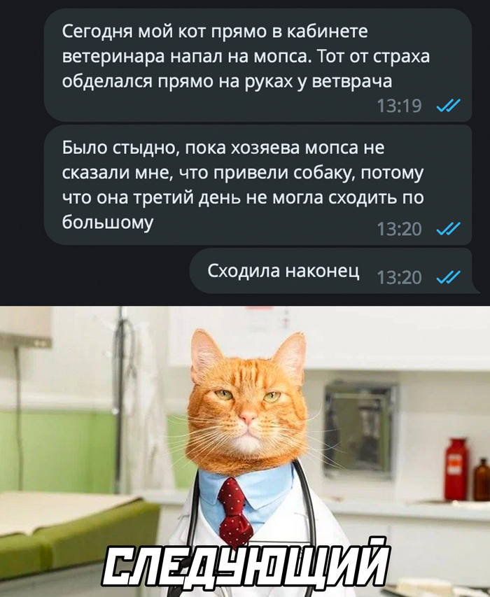 Кот всегда придёт на выручку Из сети, Картинка с текстом, Кот, Ветеринар, Скриншот, Повтор, Собака