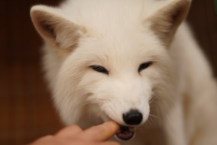 ����� ���� ���!