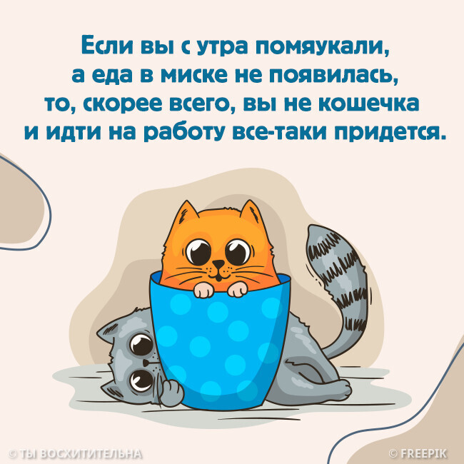  ,   , , ,  , 