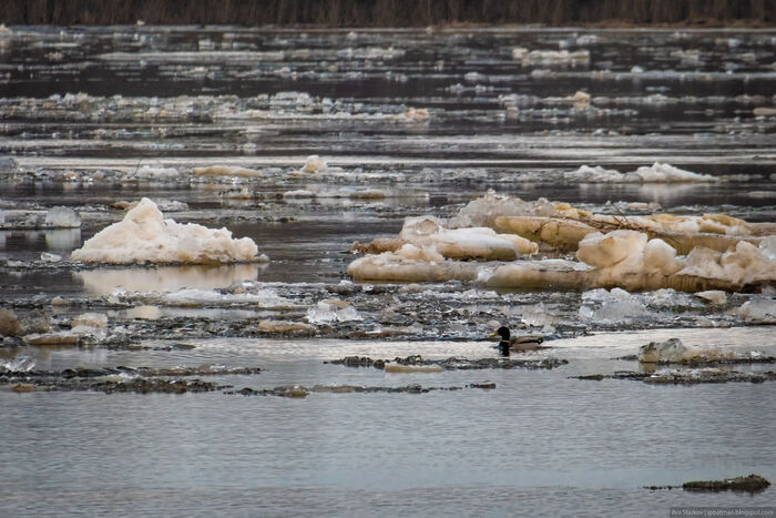 Ледокол "КРЯ"