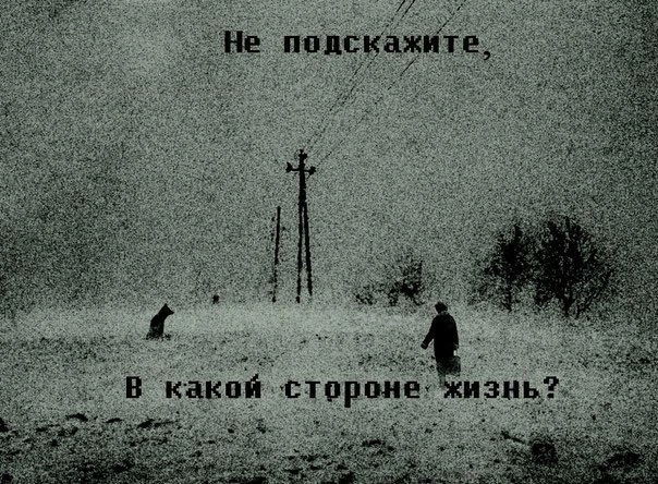 Не подскажите?