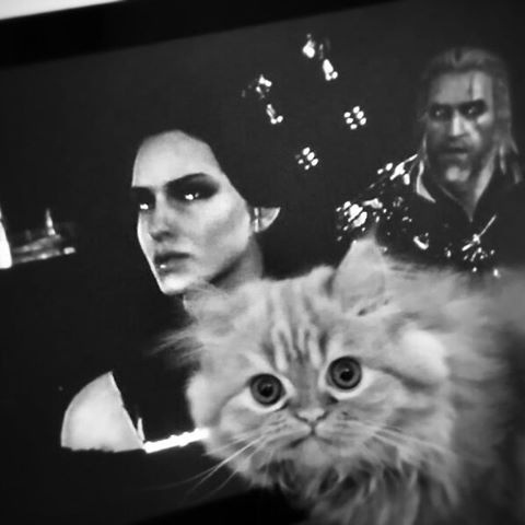 ����� �������!